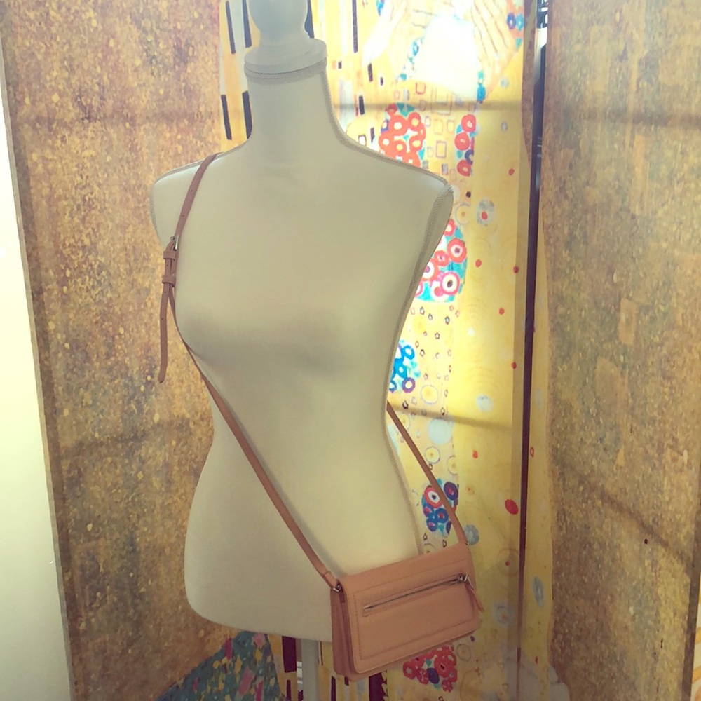 Really cute small food over purse